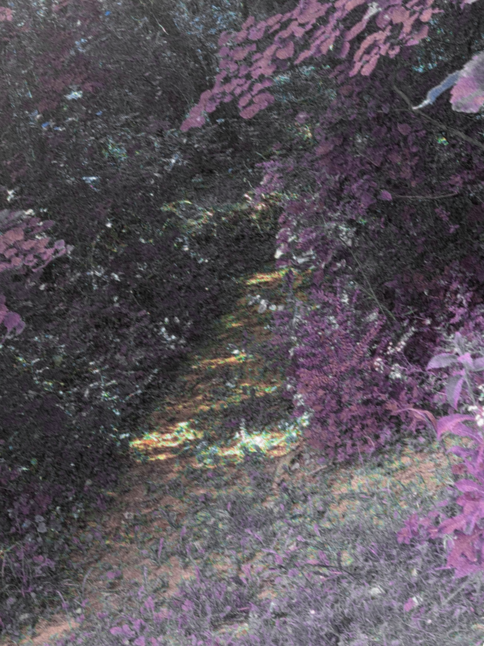 2016 Incident Thumbnail